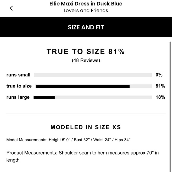 Lovers + Friends Dusk Blue Maxi Dress - Picture 5 of 6